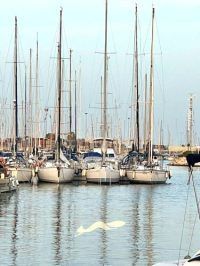 IMG_3642_3barcos-1